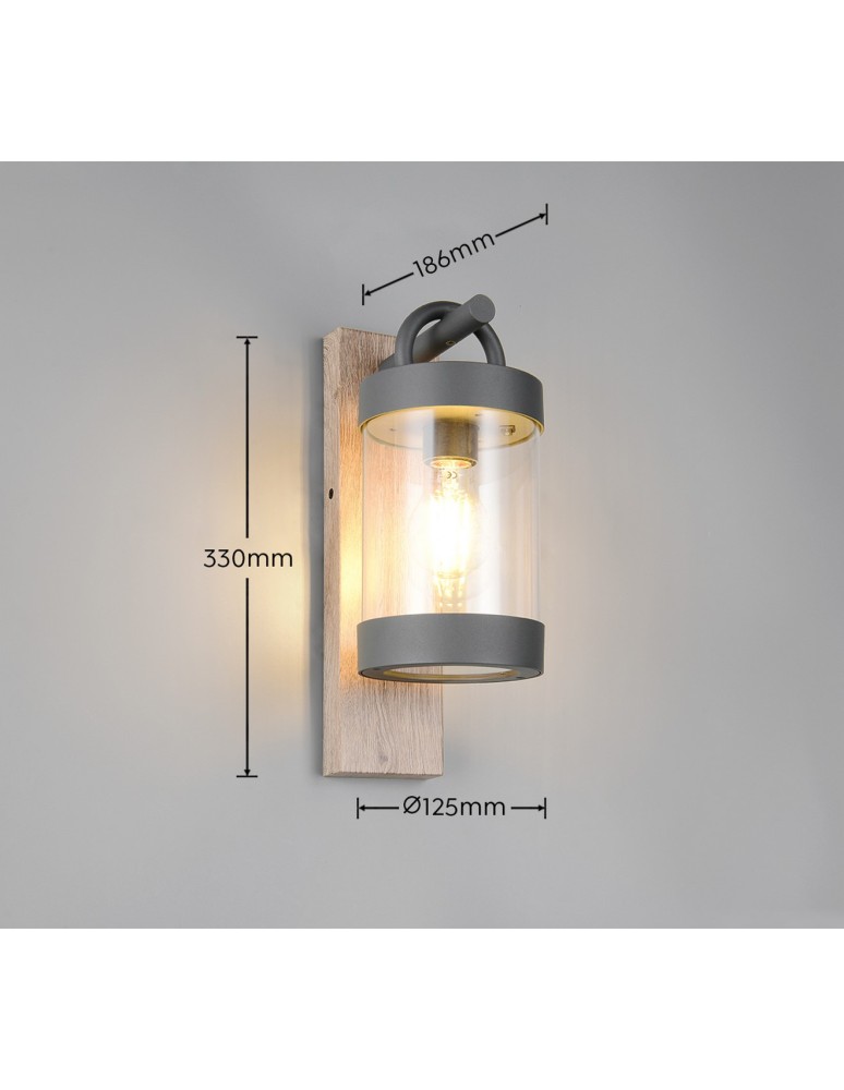 Outdoor wall lamps - Trio Outdoor Wall-mounted SAMBESI 204160135 - product kolory-swiatla.pl 5