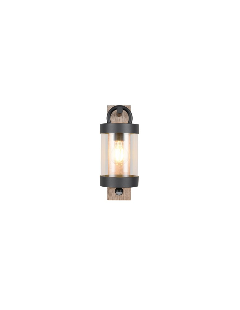 Outdoor lights with motion sensor - Trio Outdoor Wall-mounted SAMBESI 204169135 - product kolory-swiatla.pl 2