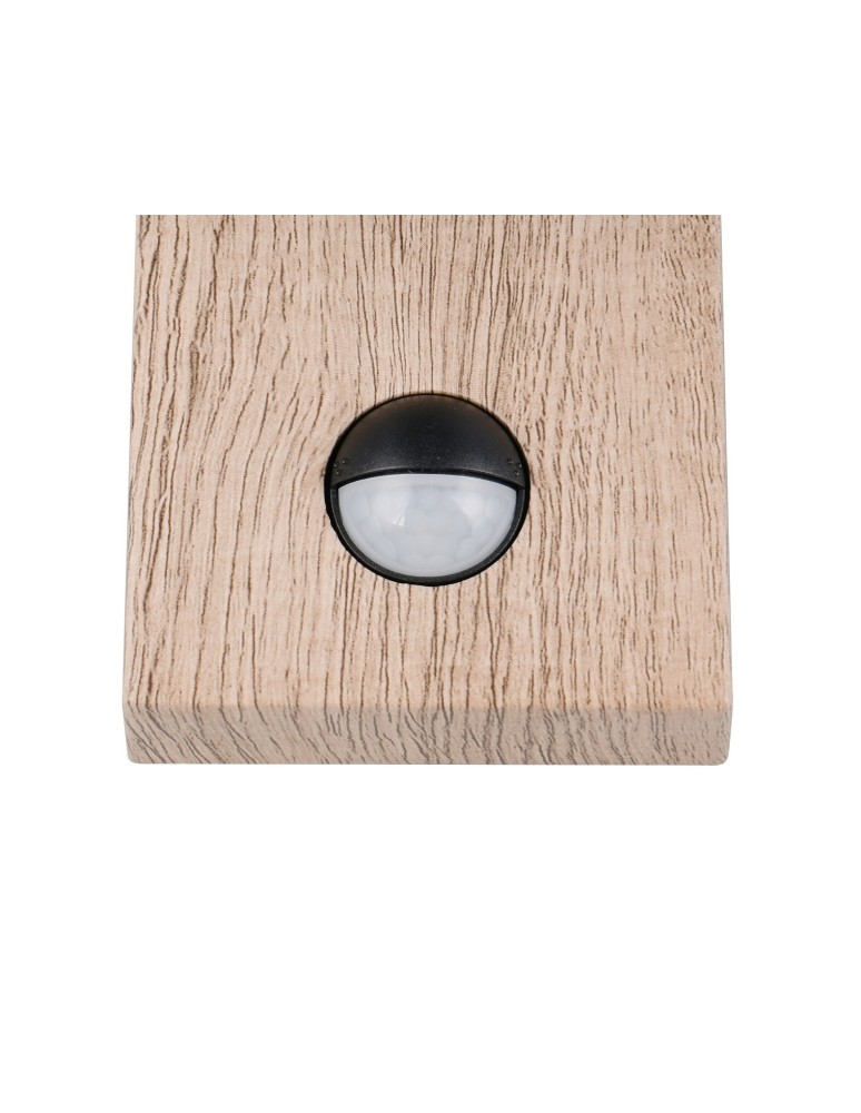 Outdoor lights with motion sensor - Trio Outdoor Wall-mounted SAMBESI 204169135 - product kolory-swiatla.pl 3