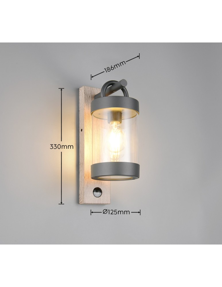 Outdoor lights with motion sensor - Trio Outdoor Wall-mounted SAMBESI 204169135 - product kolory-swiatla.pl 5