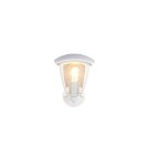 Outdoor wall lamps - Trio Outdoor Wall Mounted VENTA 263260231 - product 2