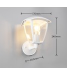 Outdoor wall lamps - Trio Outdoor Wall Mounted VENTA 263260231 - product 5