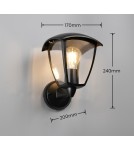 Outdoor wall lamps - Trio Outdoor Wall Mounted VENTA 263260232 - product 5