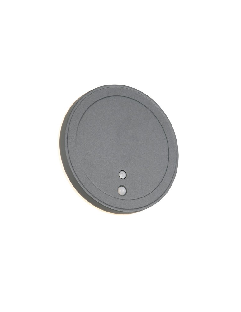 Outdoor lights with motion sensor - RL Outdoor Wall Mounted FORTALEZA - MOVEMENT SENSOR R23056142 - product kolory-swiatla.pl 1