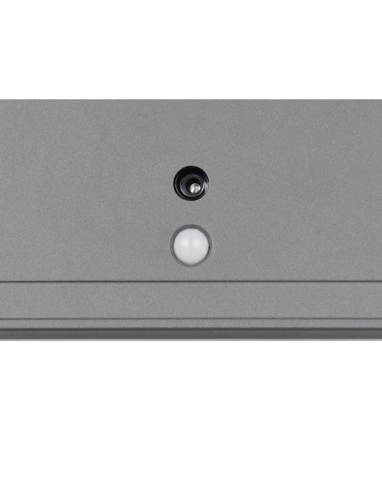 Outdoor lights with motion sensor - RL Outdoor Wall Mounted FORTALEZA - MOVEMENT SENSOR R23056242 - product kolory-swiatla.pl 3