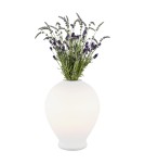 Decorative table lamps - Argon AMARYLIS 1 fl. table lamp 1x15W (max) opal mat 4095 - product 2