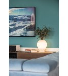 Decorative table lamps - Argon AMARYLIS 1 fl. table lamp 1x15W (max) opal mat 4095 - product 3