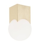 Small ceiling lamps - Argon AUSTIN plafond 1 fl. 1x7W (max) opal matt brushed brass 4712 - product 1
