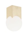 Argon AUSTIN plafond 1 fl. 1x7W (max) opal matt brushed brass 4712