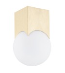 Small ceiling lamps - Argon AUSTIN plafond 1 fl. 1x7W (max) opal matt brushed brass 4712 - product 2