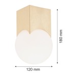 Small ceiling lamps - Argon AUSTIN plafond 1 fl. 1x7W (max) opal matt brushed brass 4712 - product 3
