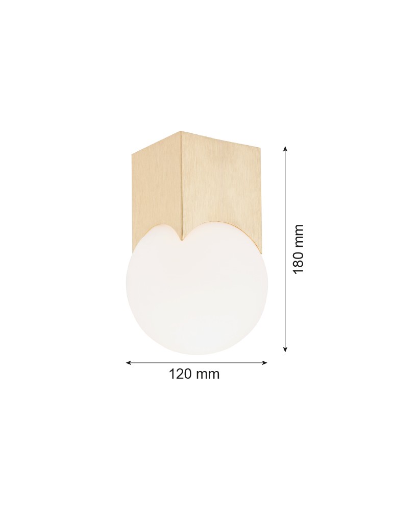 Small ceiling lamps - Argon AUSTIN plafond 1 fl. 1x7W (max) opal matt brushed brass 4712 - product kolory-swiatla.pl 3