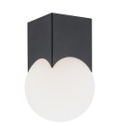 Small ceiling lamps - Argon AUSTIN plafond 1 fl. 1x7W (max) opal mat black mat 4713 - product 1