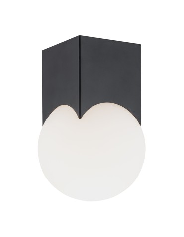 Argon AUSTIN plafond 1 fl. 1x7W (max) opal mat black mat 4713