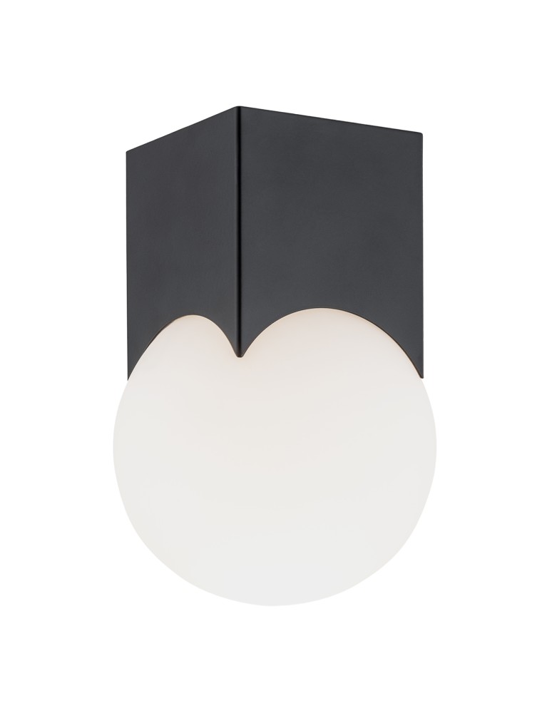 Small ceiling lamps - Argon AUSTIN plafond 1 fl. 1x7W (max) opal mat black mat 4713 - product kolory-swiatla.pl 1