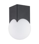 Small ceiling lamps - Argon AUSTIN plafond 1 fl. 1x7W (max) opal mat black mat 4713 - product 2