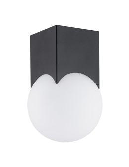 Argon AUSTIN plafon 1 pł. 1x7W (max) opal mat czarny mat 4713 - produkt 2