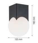 Small ceiling lamps - Argon AUSTIN plafond 1 fl. 1x7W (max) opal mat black mat 4713 - product 3