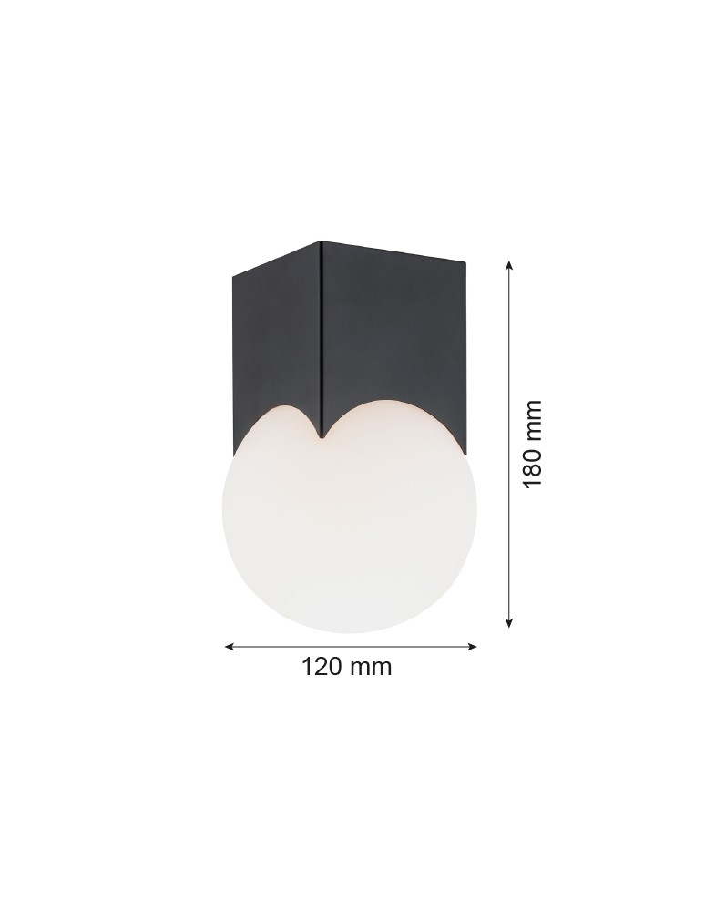 Small ceiling lamps - Argon AUSTIN plafond 1 fl. 1x7W (max) opal mat black mat 4713 - product kolory-swiatla.pl 3