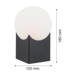 Decorative table lamps - Argon AUSTIN 1 fl. table lamp 1x7W (max) opal mat black mat 4721 - product 3