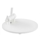 Desk lamps - Argon AVALONE desk lamp 1 pł. 1x15W (max) white structure 8000 - product 5