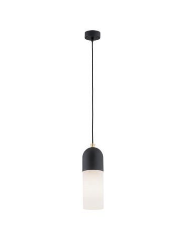 Argon BURGOS 1 fl. pendant lamp 1x15W (max) opal mat black structure 4213