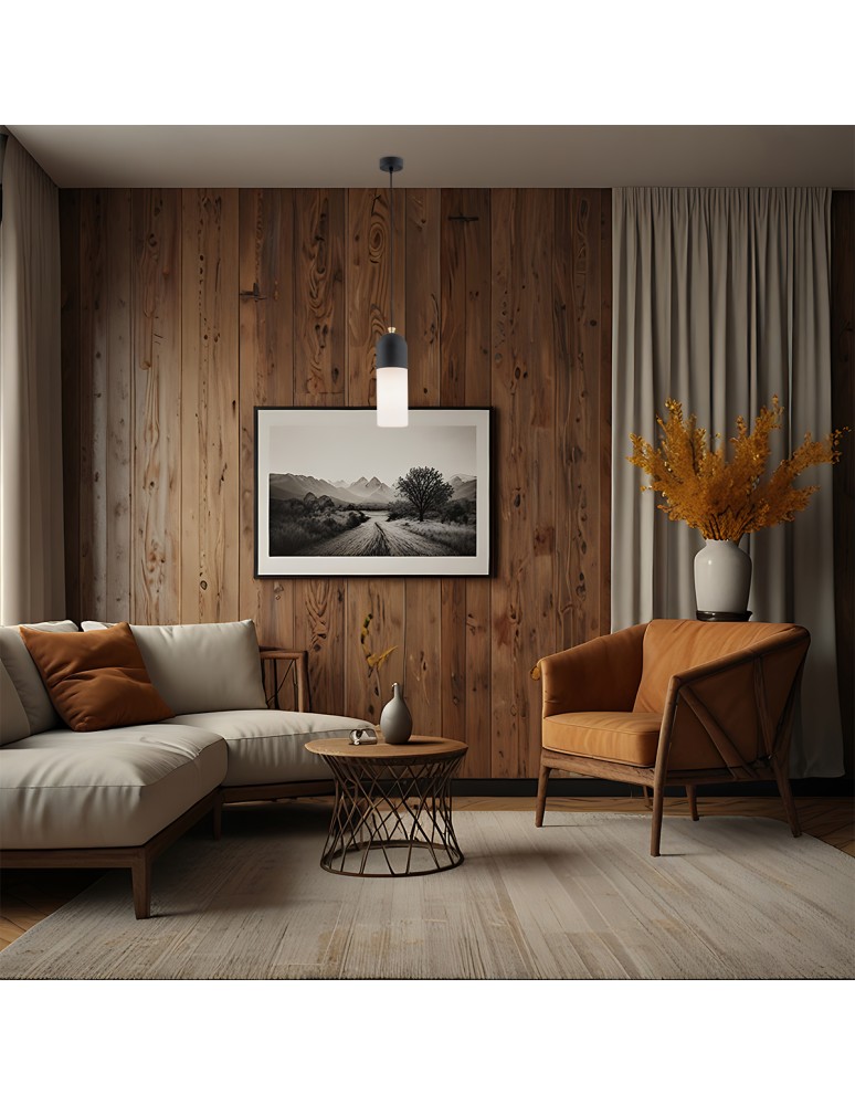 Single pendant lamps - Argon BURGOS 1 fl. pendant lamp 1x15W (max) opal mat black structure 4213 - product kolory-swiatla.pl 2