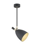 Spotlight ceiling lamps - Argon CHARLOTTE pendant lamp 1 pł. 1x15W (max) black structure brass elements 4686 - product 1