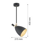 Spotlight ceiling lamps - Argon CHARLOTTE pendant lamp 1 pł. 1x15W (max) black structure brass elements 4686 - product 6