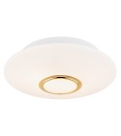 Round ceiling lamps - Argon CHICAGO plafond 2 fl. 2x15W (max) opal matt brass 1030 - product 1