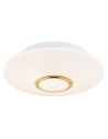 Argon CHICAGO plafond 2 fl. 2x15W (max) opal matt brass 1030