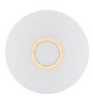 Round ceiling lamps - Argon CHICAGO plafond 2 fl. 2x15W (max) opal matt brass 1030 - product 3