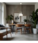 Industrial pendant lamps - Argon DAKOTA 1-fl. pendant lamp 1x15W (max) cream white 8284 - product 2