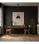 Industrial pendant lamps - Argon DAKOTA 1 fl. pendant lamp 1x15W (max) black 8285 - product 2