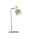 Argon DORIA lampa biurkowa 1 pł. 1x15W (max) szałwia struktura elementy mosiądzowane 4276