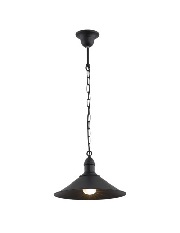 Argon ERBA 1-fl. pendant lamp 1x15W (max) matte black 631