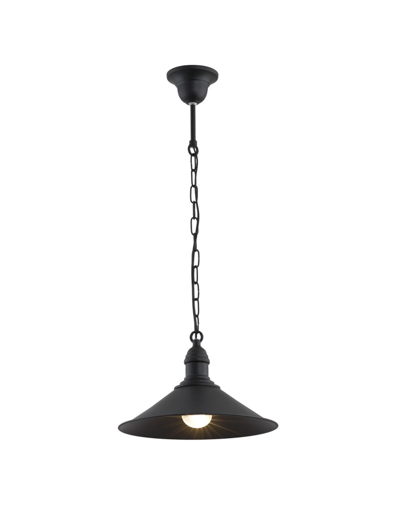Industrial pendant lamps - Argon ERBA 1-fl. pendant lamp 1x15W (max) matte black 631 - product kolory-swiatla.pl 1