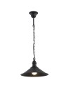 Argon ERBA 1-fl. pendant lamp 1x15W (max) matte black 631