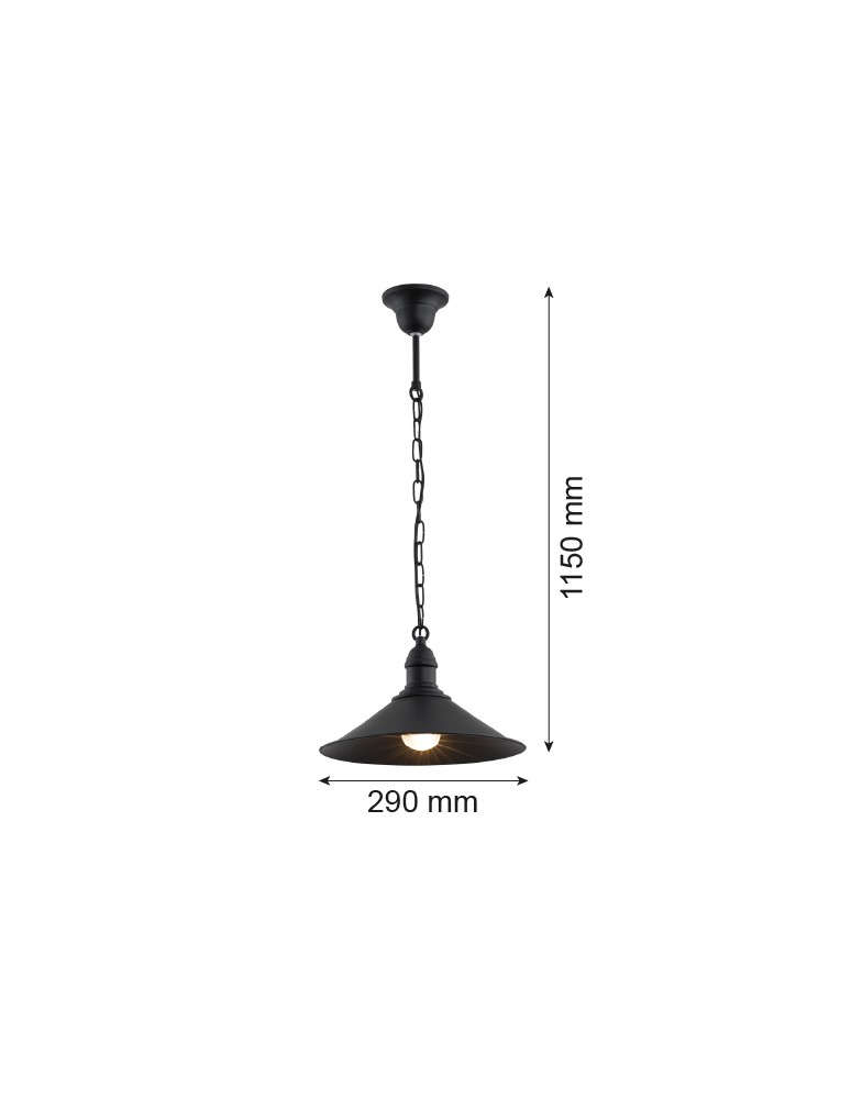 Industrial pendant lamps - Argon ERBA 1-fl. pendant lamp 1x15W (max) matte black 631 - product kolory-swiatla.pl 3