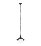 Industrial pendant lamps - Argon ERBA BIS 1 fl. pendant lamp 1x15W (max) black structure IP44 3285 - product 1