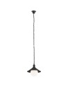 Argon ERBA BIS 1 fl. pendant lamp 1x15W (max) black structure IP44 3285