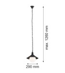 Industrial pendant lamps - Argon ERBA BIS 1 fl. pendant lamp 1x15W (max) black structure IP44 3285 - product 4
