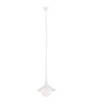 Industrial pendant lamps - Argon ERBA BIS 1-fl. pendant lamp 1x15W (max) white structure IP44 3296 - product 1