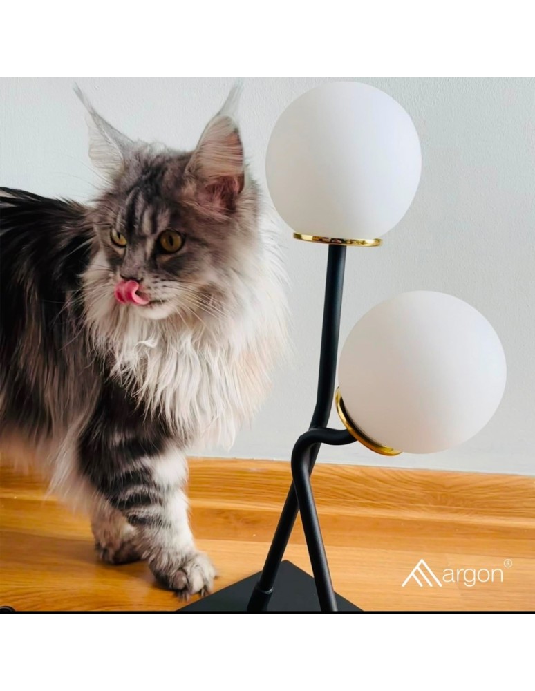 Table lamps - Argon FARON 2 fl. table lamp 2x6W (max) opal mat black structure 892 - product kolory-swiatla.pl 4