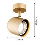 Gold wall lamps - Argon ISOLA wall lamp / plafond 1 pł. 1x5W (max) gold 8260 - product 5