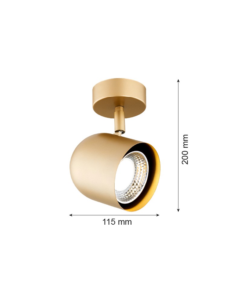 Gold wall lamps - Argon ISOLA wall lamp / plafond 1 pł. 1x5W (max) gold 8260 - product kolory-swiatla.pl 5