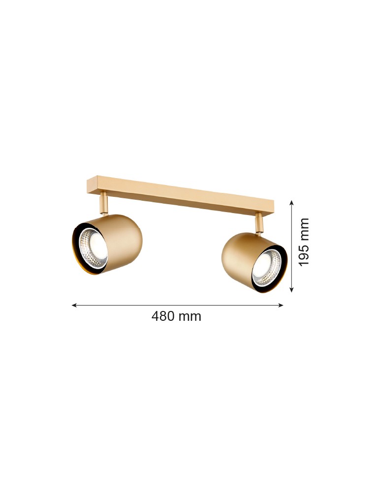 Spotlight ceiling lamps - Argon ISOLA plafond 2 fl. 2x5W (max) gold 7150 - product kolory-swiatla.pl 5