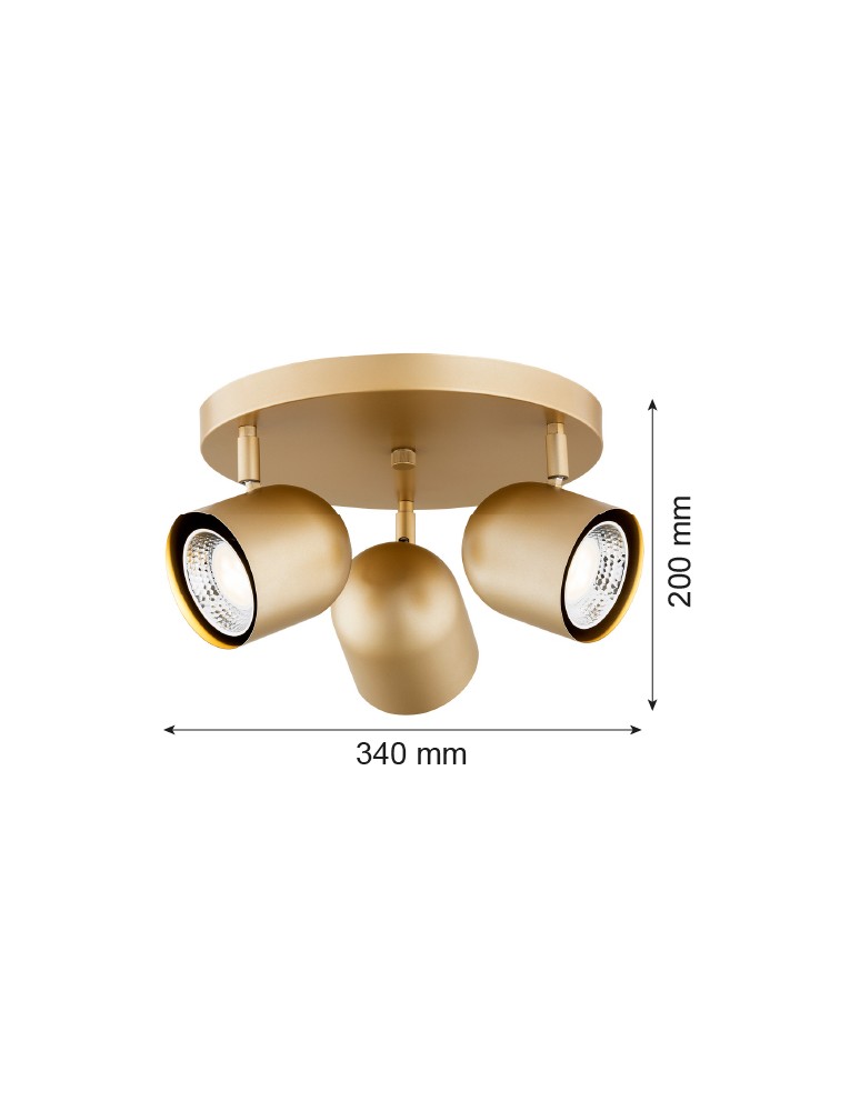 Spotlight ceiling lamps - Argon ISOLA plafond 3 fl. 3x5W (max) gold 6249 - product kolory-swiatla.pl 4