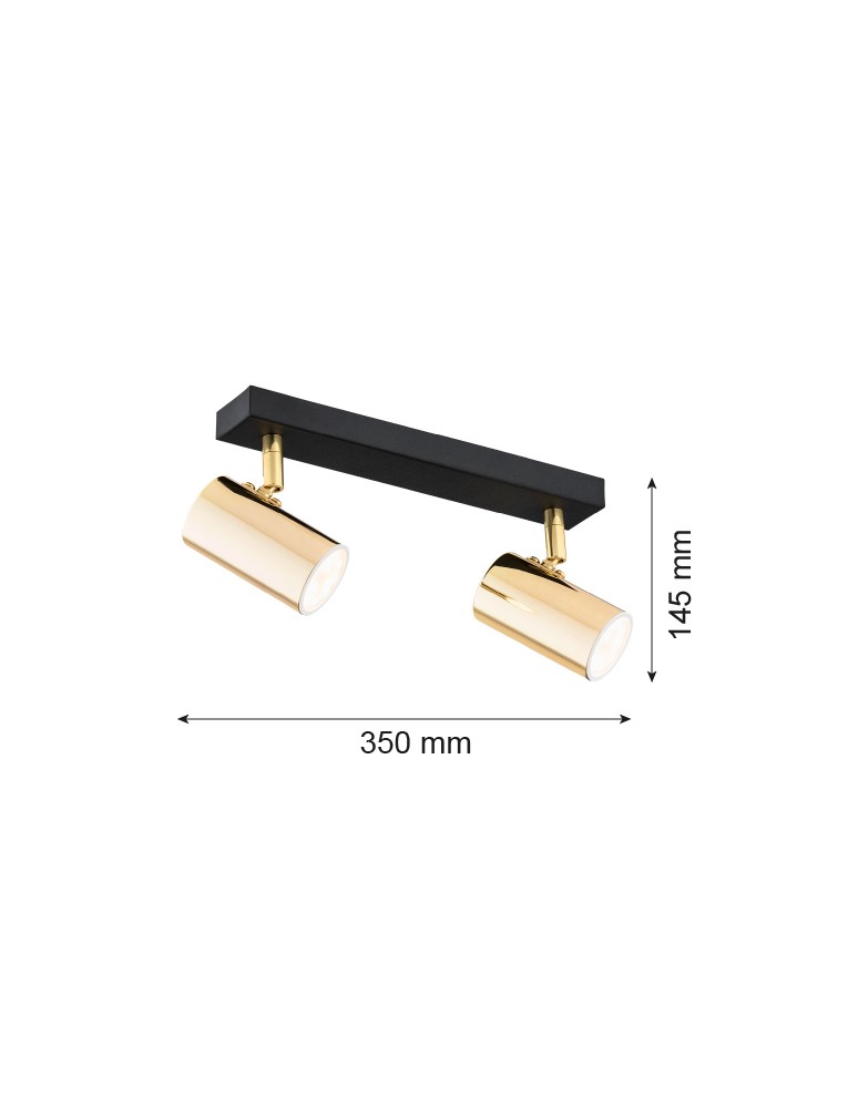 Spotlight ceiling lamps - Argon LAGOS plafond 2 fl. 2x5W (max) brass black structure 889 - product kolory-swiatla.pl 2