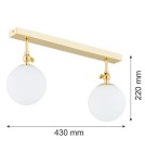 Bathroom ceiling lamps - Argon LATINA wall lamp 2 pł. 2x7W (max) brass IP44 opal mat 844 - product 2